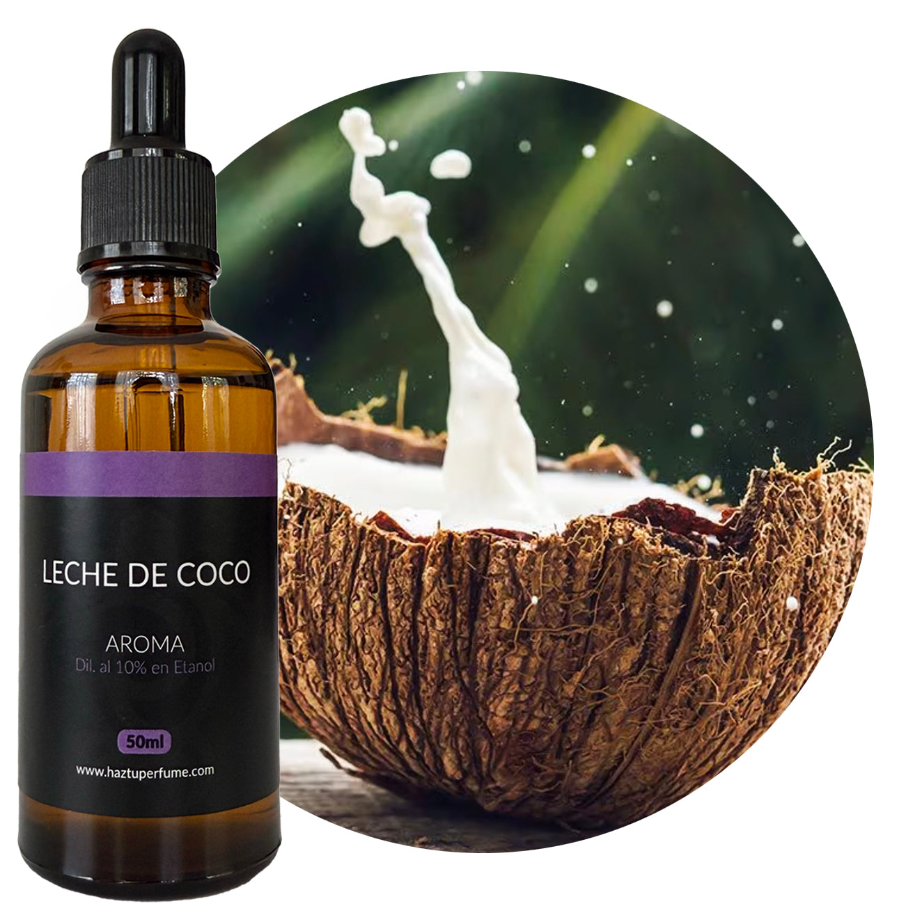 Leche de Coco (Acorde)