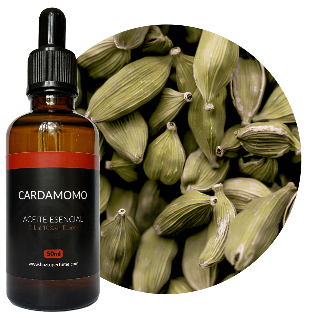 Cardamomo