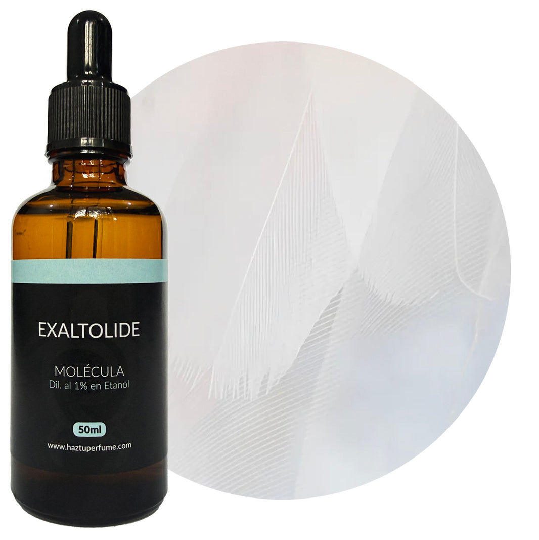Productos – Page 4 – Haz tu Perfume