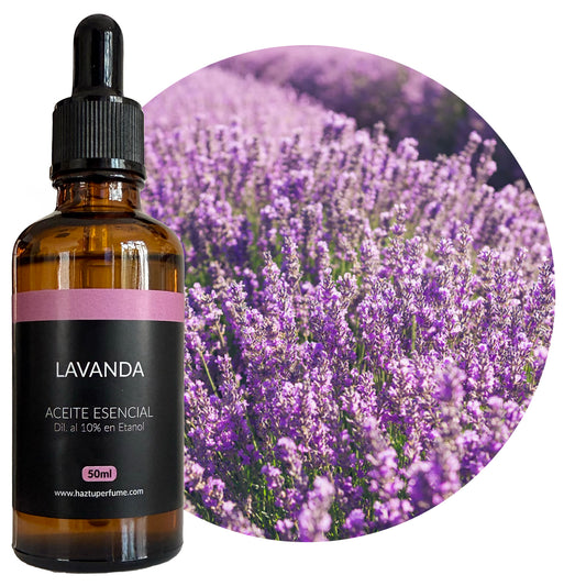Lavanda