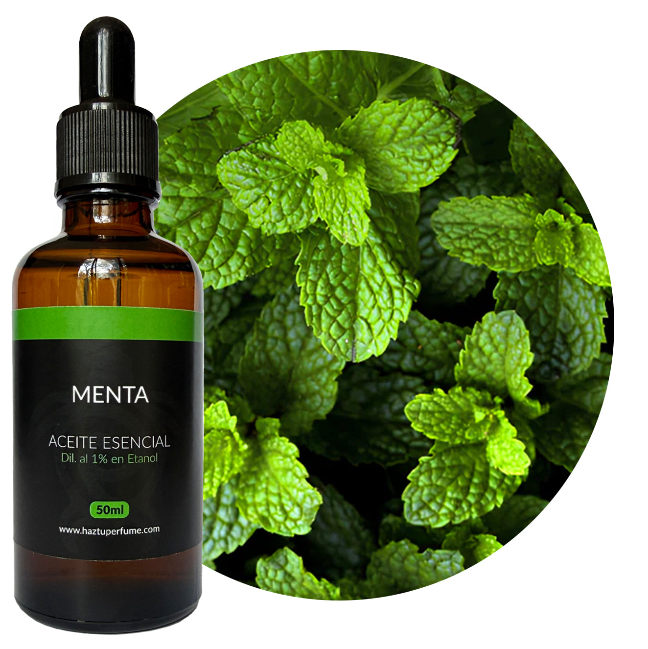Menta