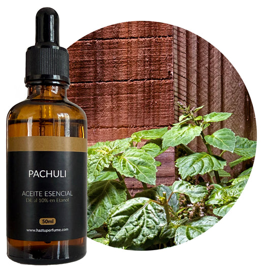 Pachuli
