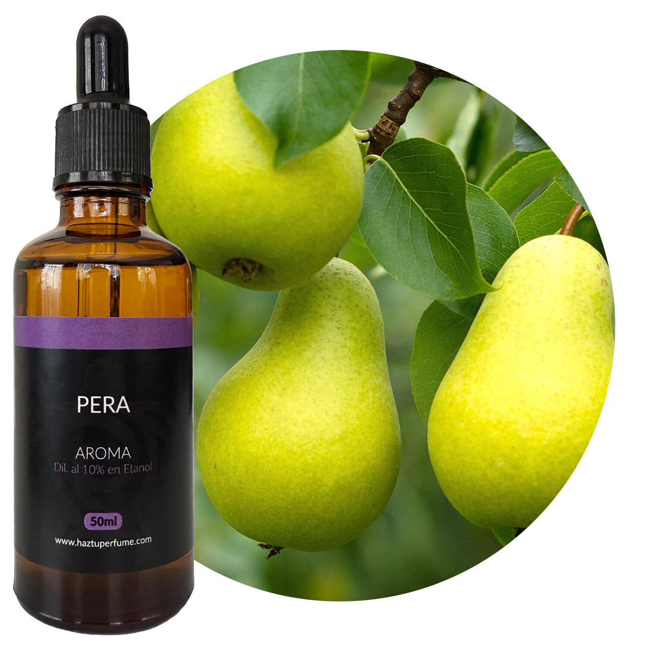 Pera (Acorde)