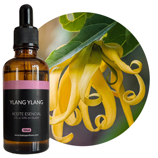 Ylang Ylang